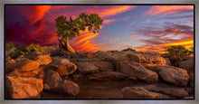 Load image into Gallery viewer, Moab Morning