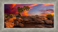 Load image into Gallery viewer, Moab Morning
