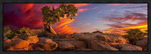 Load image into Gallery viewer, Moab Morning