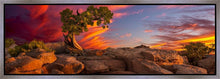 Load image into Gallery viewer, Moab Morning