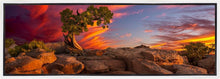 Load image into Gallery viewer, Moab Morning