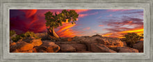 Load image into Gallery viewer, Moab Morning