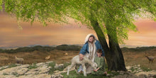 Load image into Gallery viewer, Feed My Lambs