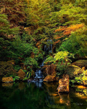 Load image into Gallery viewer, Secluded Pond
