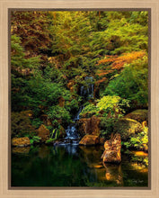 Load image into Gallery viewer, Secluded Pond