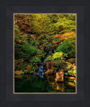 Load image into Gallery viewer, Secluded Pond