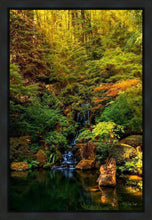 Load image into Gallery viewer, Secluded Pond