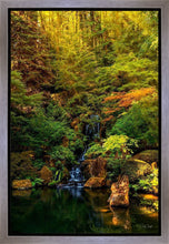 Load image into Gallery viewer, Secluded Pond