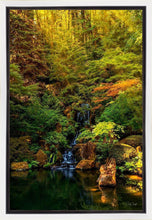 Load image into Gallery viewer, Secluded Pond
