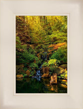 Load image into Gallery viewer, Secluded Pond