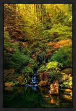 Load image into Gallery viewer, Secluded Pond
