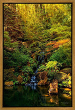 Load image into Gallery viewer, Secluded Pond