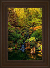 Load image into Gallery viewer, Secluded Pond