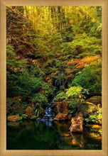 Load image into Gallery viewer, Secluded Pond