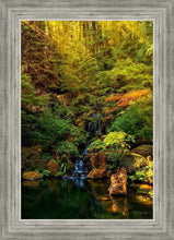 Load image into Gallery viewer, Secluded Pond