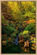 Load image into Gallery viewer, Secluded Pond