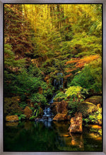 Load image into Gallery viewer, Secluded Pond