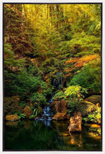 Load image into Gallery viewer, Secluded Pond