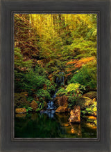 Load image into Gallery viewer, Secluded Pond