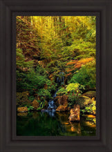 Load image into Gallery viewer, Secluded Pond