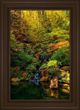 Load image into Gallery viewer, Secluded Pond