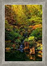 Load image into Gallery viewer, Secluded Pond
