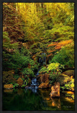Load image into Gallery viewer, Secluded Pond