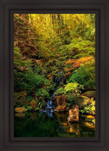 Load image into Gallery viewer, Secluded Pond