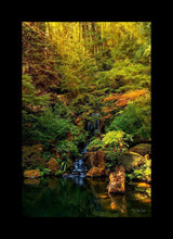 Load image into Gallery viewer, Secluded Pond