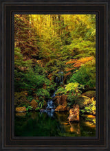 Load image into Gallery viewer, Secluded Pond