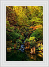 Load image into Gallery viewer, Secluded Pond