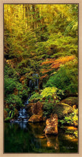 Load image into Gallery viewer, Secluded Pond