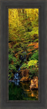Load image into Gallery viewer, Secluded Pond
