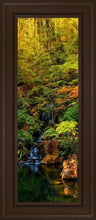 Load image into Gallery viewer, Secluded Pond