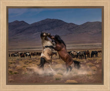 Load image into Gallery viewer, Desert Duel