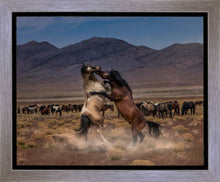 Load image into Gallery viewer, Desert Duel