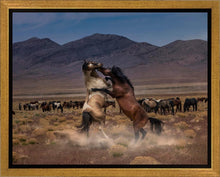 Load image into Gallery viewer, Desert Duel