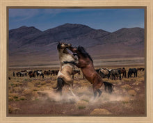 Load image into Gallery viewer, Desert Duel