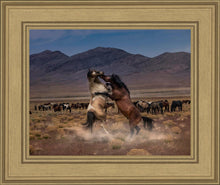 Load image into Gallery viewer, Desert Duel