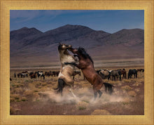 Load image into Gallery viewer, Desert Duel