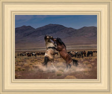 Load image into Gallery viewer, Desert Duel