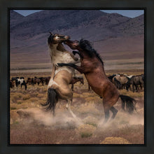 Load image into Gallery viewer, Desert Duel