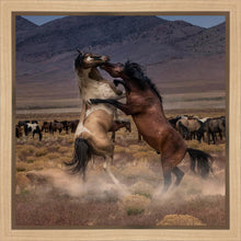 Load image into Gallery viewer, Desert Duel