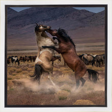 Load image into Gallery viewer, Desert Duel