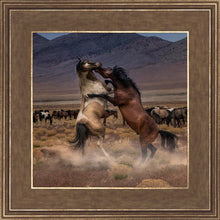 Load image into Gallery viewer, Desert Duel
