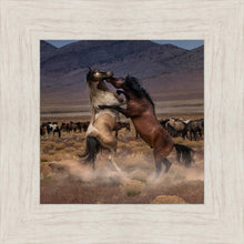 Load image into Gallery viewer, Desert Duel