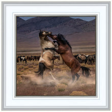 Load image into Gallery viewer, Desert Duel