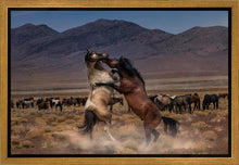 Load image into Gallery viewer, Desert Duel