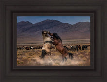 Load image into Gallery viewer, Desert Duel