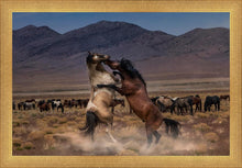 Load image into Gallery viewer, Desert Duel